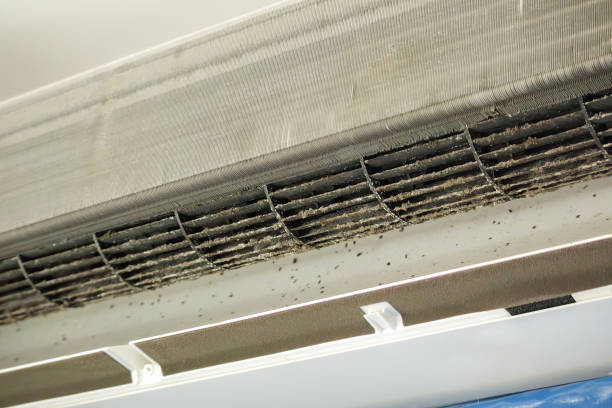 Air Duct Mold Removal in LA